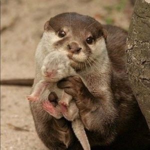 Meet your Posher, Candacy